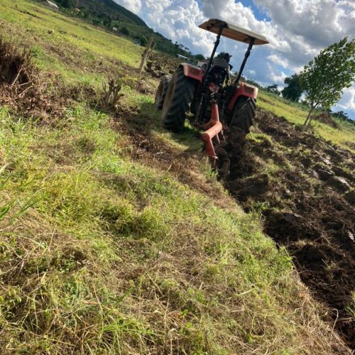 Land preparation for a 40 acre Coffee estate by Bagritech on behalf of the ISBAT University in Uganda. Through our Joint venture services, Bagritech assists farmers in planning, establishment and management of Commercial Agriculture Estates.